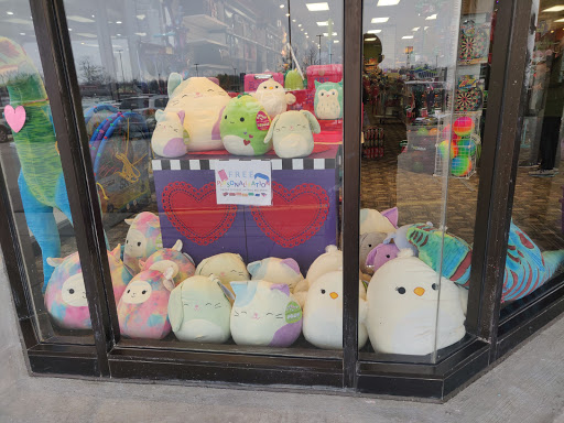 Toy Store «Learning Express», reviews and photos, 2465 W Stadium Blvd, Ann Arbor, MI 48103, USA