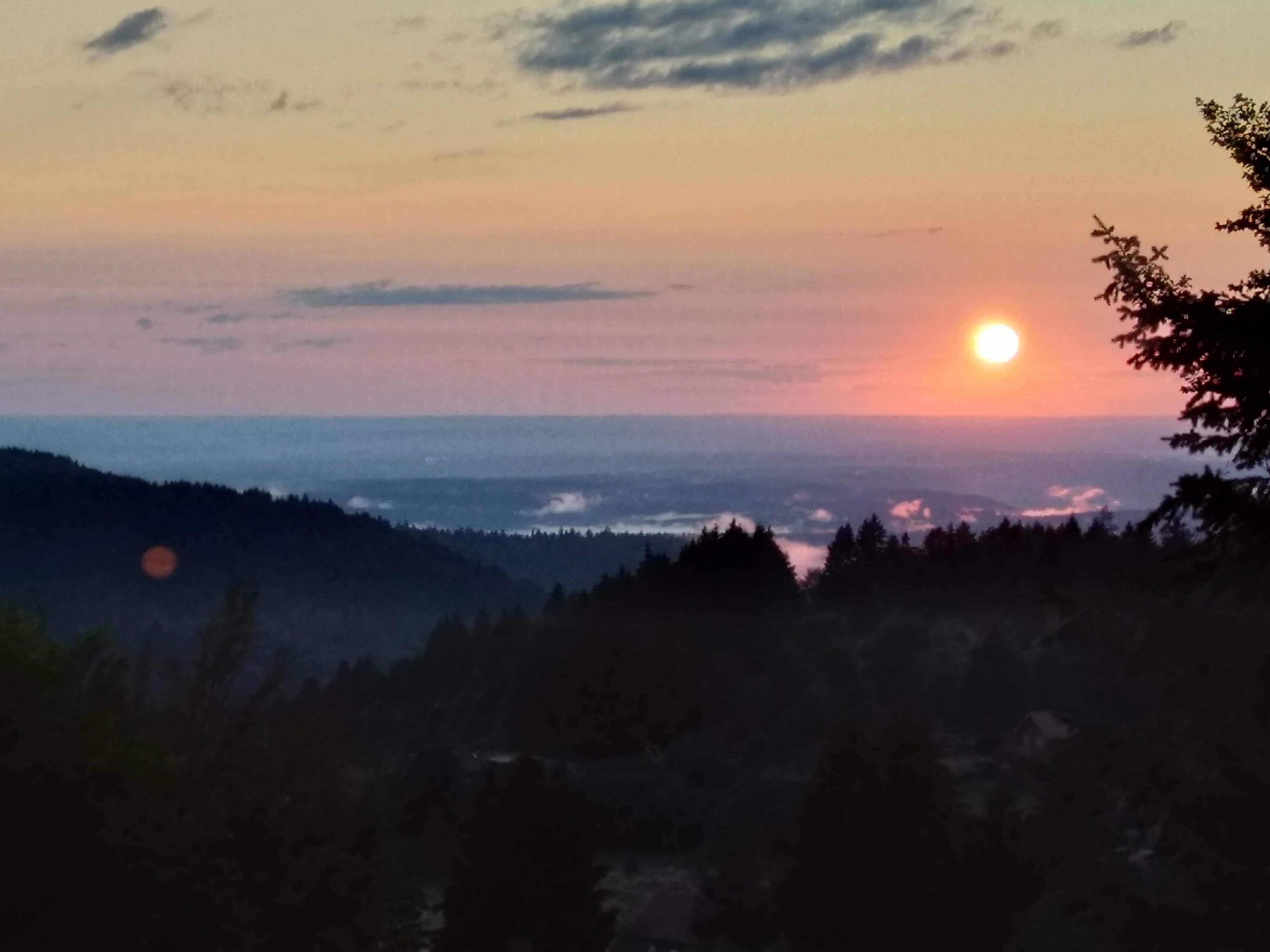 Photo n° 3 de l'avis de yorick.o fait le 29/10/2018 à 12:40