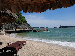 Photo de Monkey Island Resort situé dans une zone naturelle