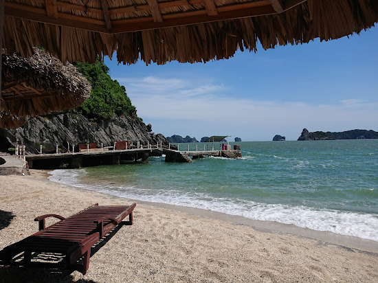 Monkey Island Resort
