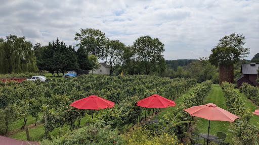 Winery «Pearmund Cellars», reviews and photos, 6190 Georgetown Rd, Broad Run, VA 20137, USA