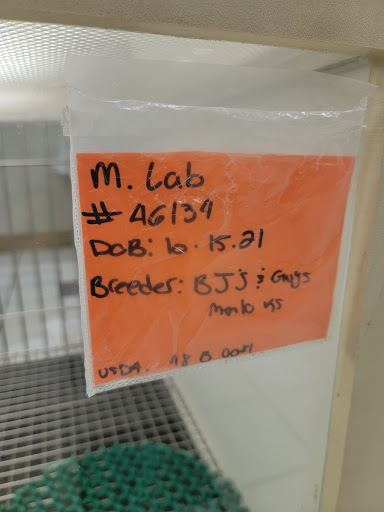 Pet Store «Family Pet Center», reviews and photos, 1401 Greenbrier Pkwy, Chesapeake, VA 23320, USA