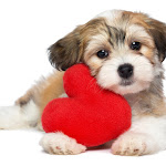 Photo n°1 de l'avis de Natascia.o fait le 31/01/2021 à 21:49 sur le  Market Loredana à Manoppello Scalo