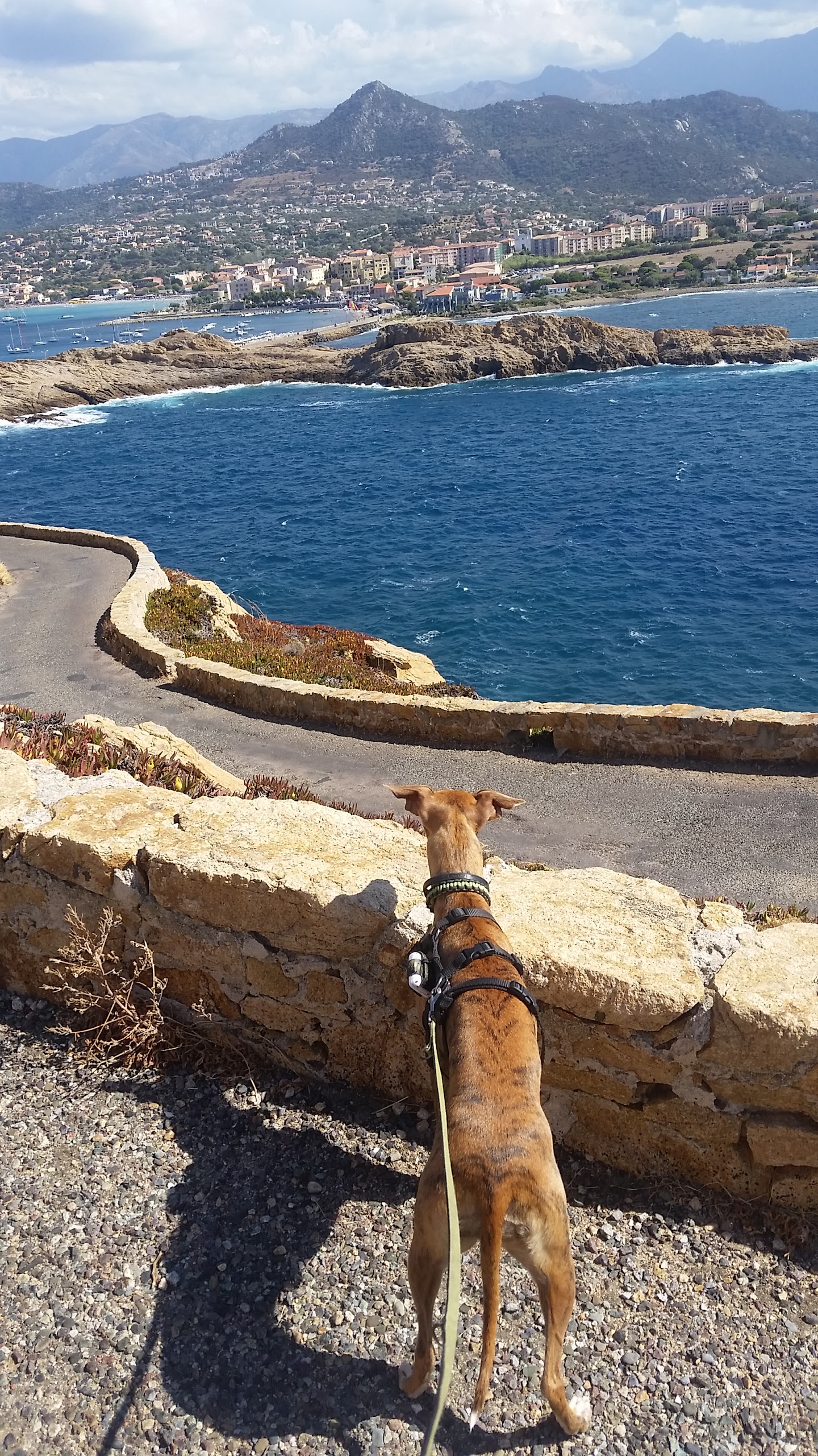 Photo n° 2 de l'avis de Mona.r fait le 25/07/2017 à 19:23