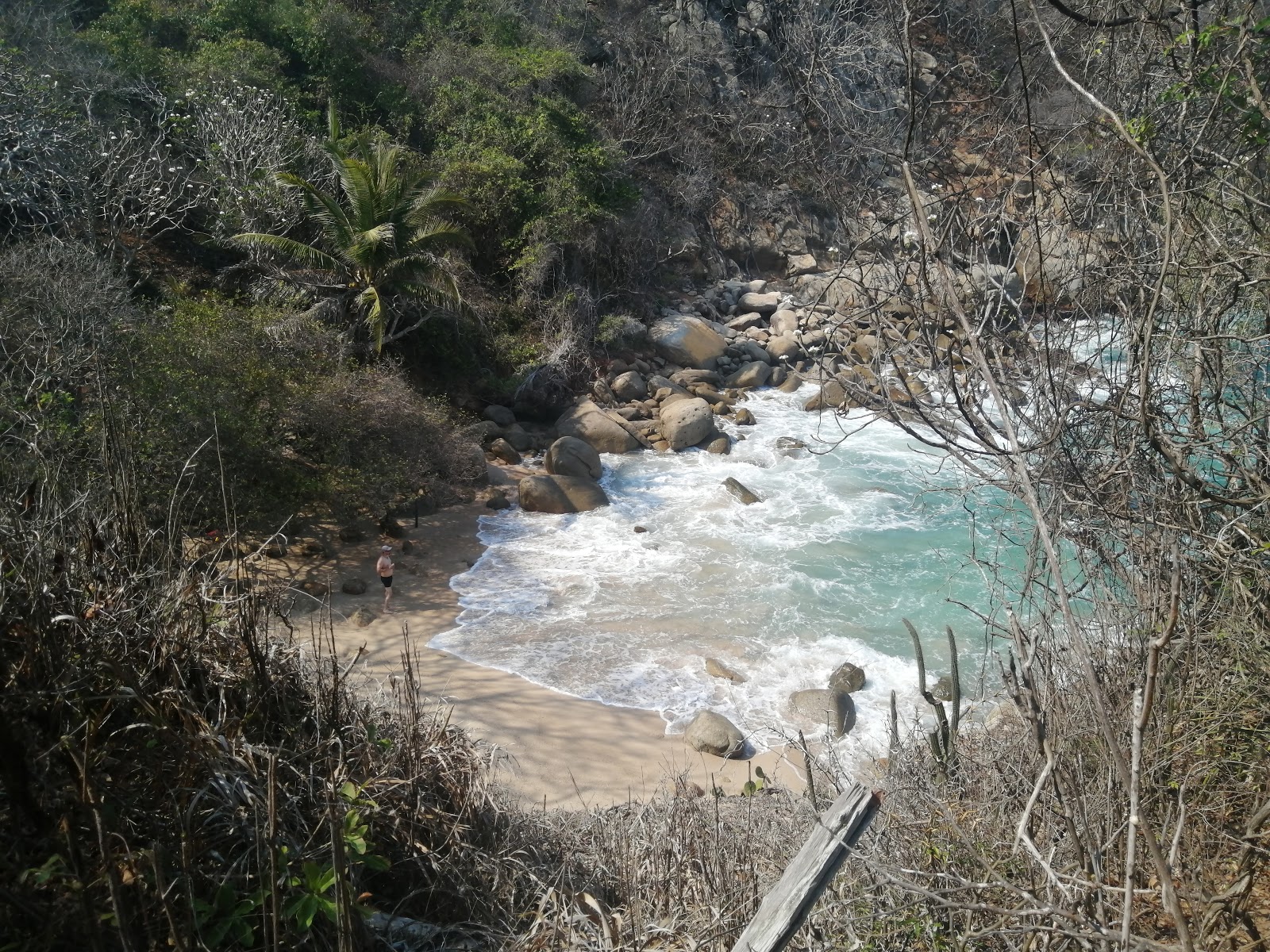 Φωτογραφία του Roqueta Dania beach ubicado en área natural