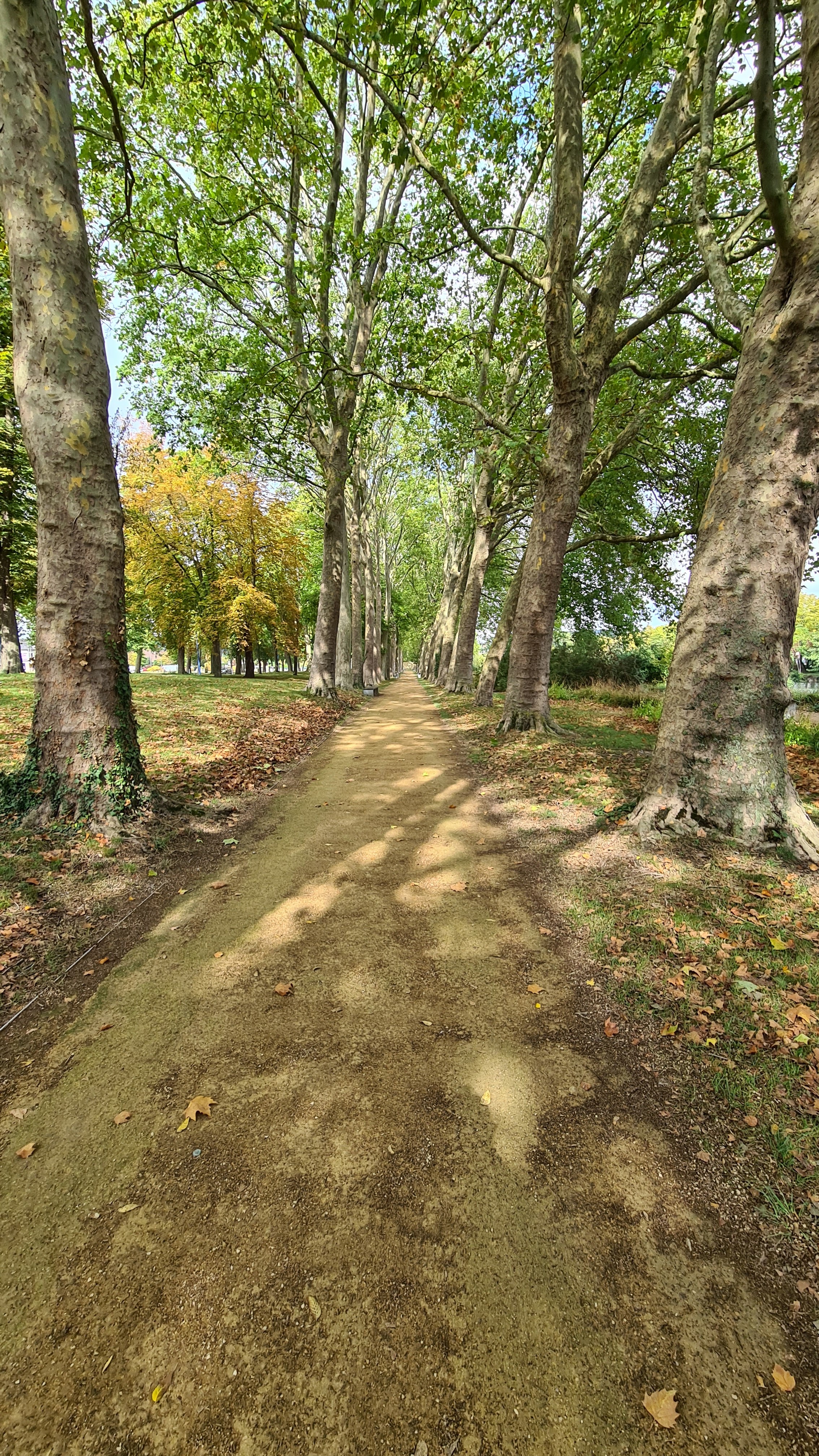 Photo n° 3 de l'avis de Pop.o fait le 24/09/2020 à 15:43