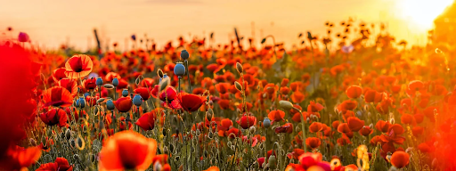 Servicios Funerarios Ramírez en Almería