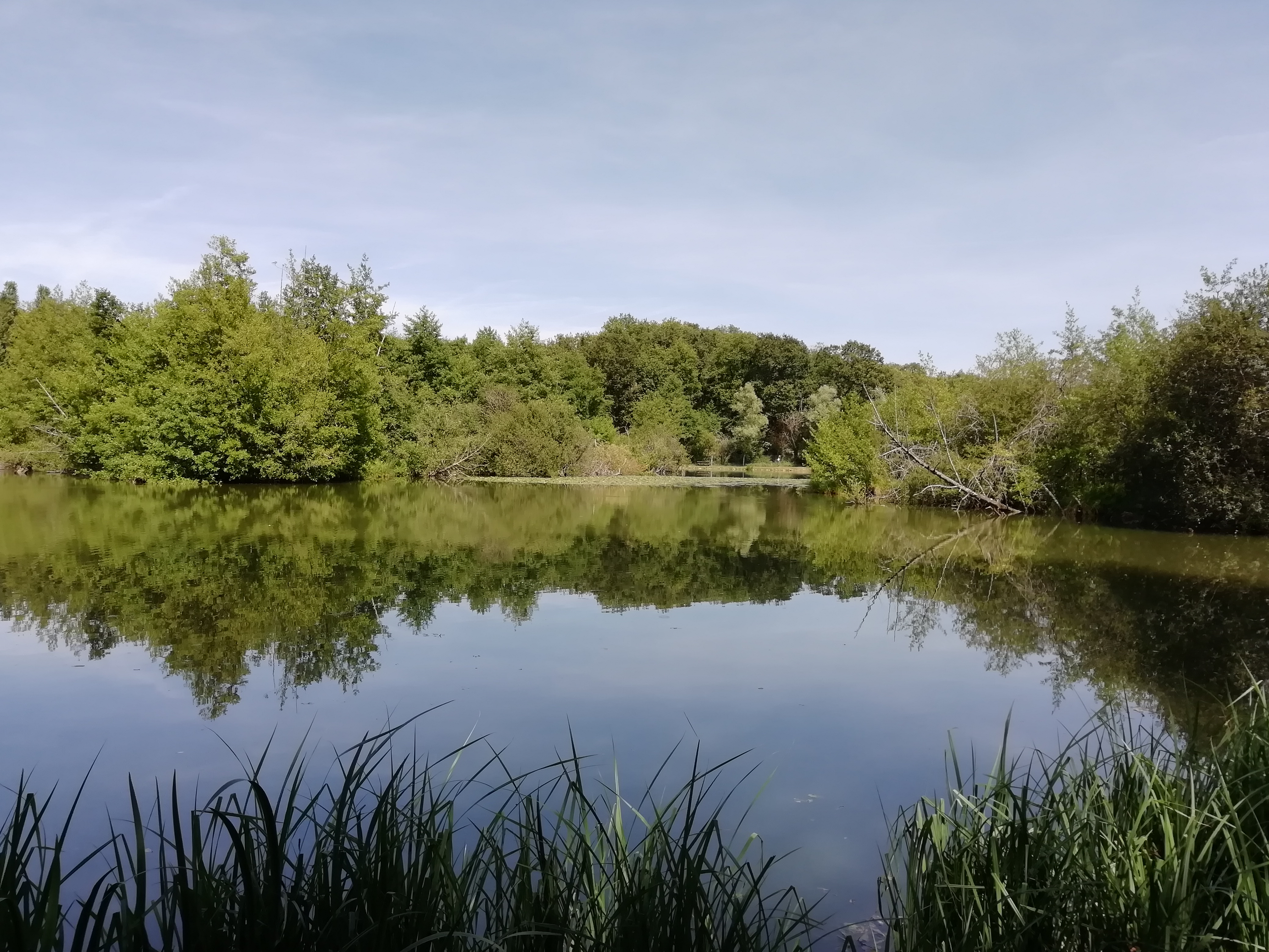 Photo n° 3 de l'avis de Auwine.u fait le 21/07/2019 à 20:04