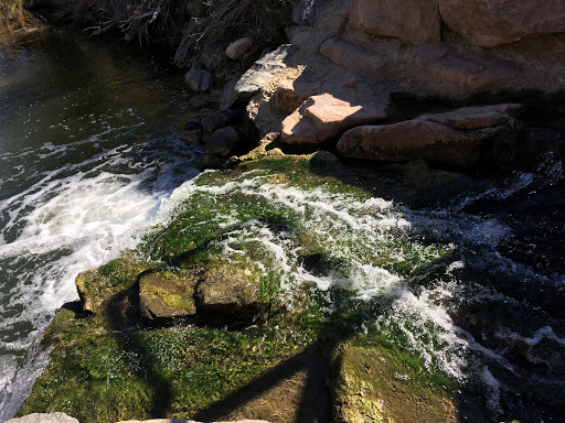 Wildlife Park «Willow Spring Open Space», reviews and photos, 7100 S Holly St, Centennial, CO 80112, USA