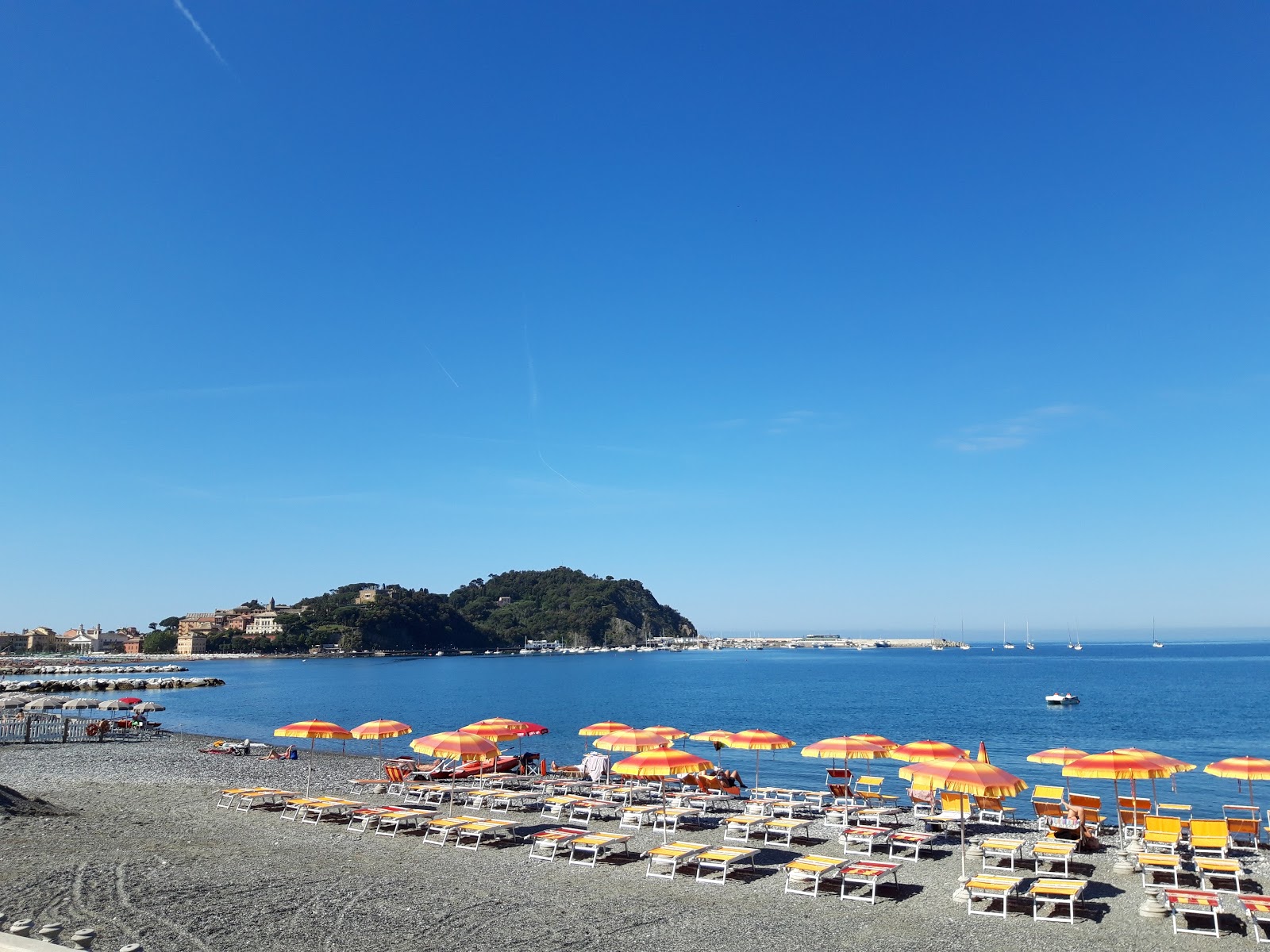 Valokuva Spiaggia per caniista. pinnalla harmaa hieno pikkukivi:n kanssa