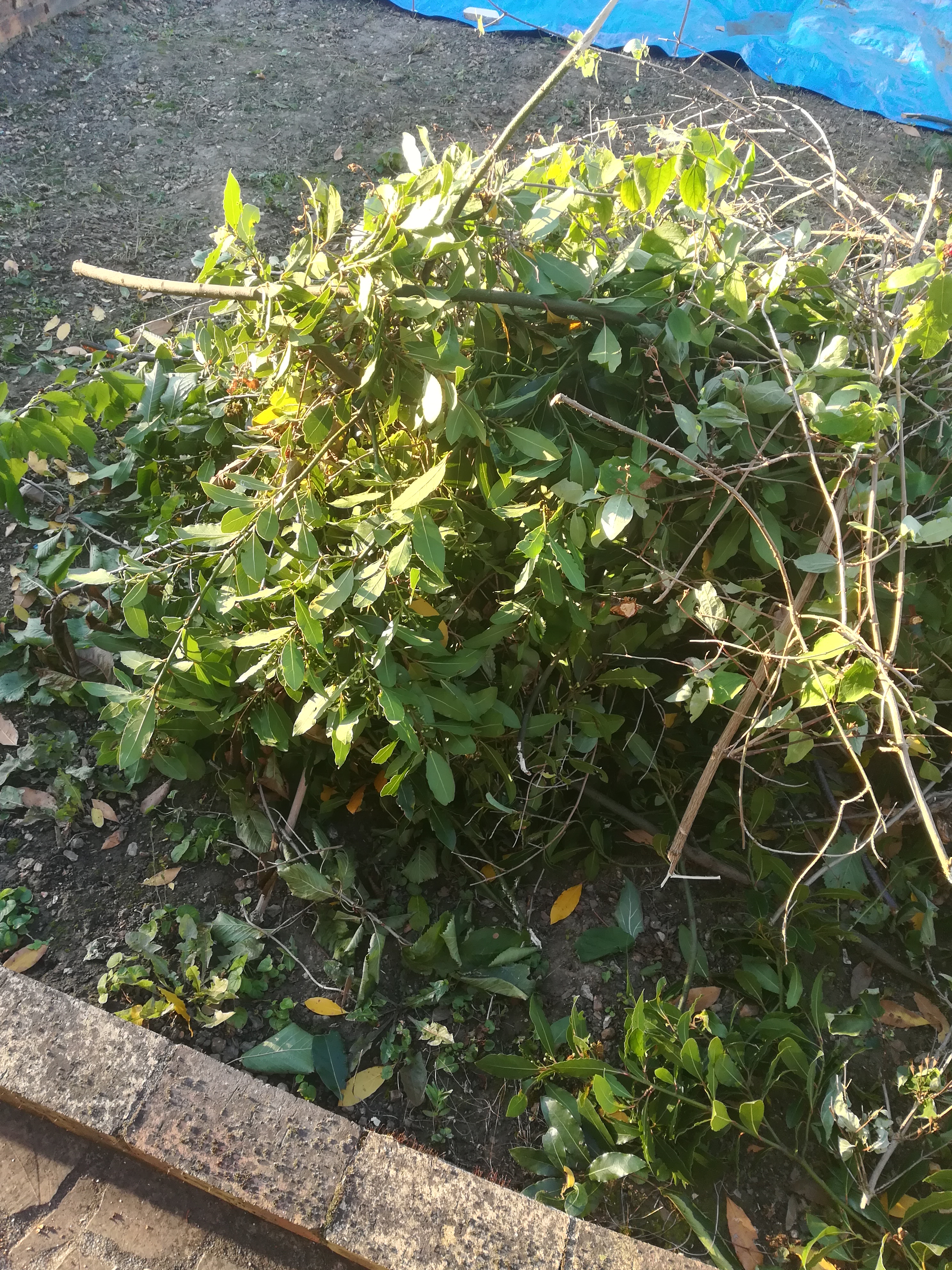 Photo n° 2 de l'avis de Kamal.l fait le 14/09/2021 à 12:18