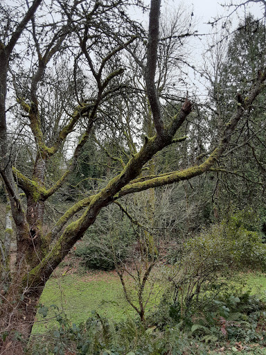 Park «Colman Park», reviews and photos, 1800 Lake Washington Blvd S, Seattle, WA 98144, USA