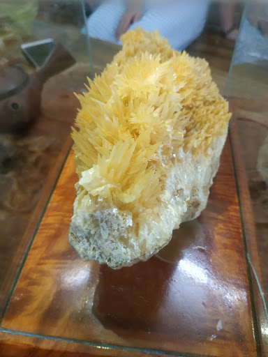 Top 20 cửa hàng ck Huyện Hoa Lư Ninh Bình 2022