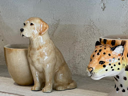 Sailom gallery