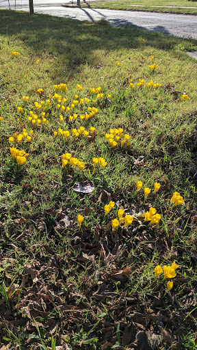 Jewelry Buyer «Mckinney Jewelry & Loan», reviews and photos, 800 S McDonald St, McKinney, TX 75069, USA