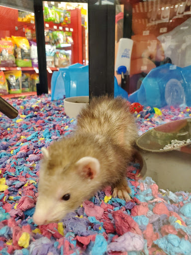 Pet Supply Store «Petco Animal Supplies», reviews and photos, 551 W Hampden Ave, Englewood, CO 80110, USA