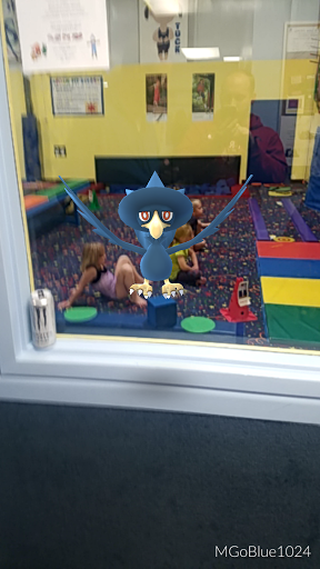 Gym «Kids Gym», reviews and photos, 9027 Portage Industrial Dr, Portage, MI 49024, USA