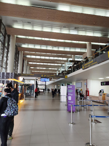 Opiniones de Aeropuerto Araucanía en Freire - Otro