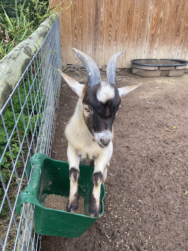 Zoo «ZooWorld Zoological and Botanical Conservatory», reviews and photos, 9008 Front Beach Rd, Panama City Beach, FL 32407, USA