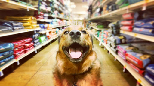 Pet Supply Store «PetSmart», reviews and photos, 5154 Nicholson Ln, Kensington, MD 20895, USA