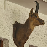 Photo n°8 de l'avis de Gregory.a fait le 21/06/2020 à 12:14 sur le  Hotel Lago Bin à Rocchetta Nervina