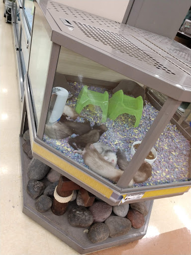 Pet Supply Store «Petco Animal Supplies», reviews and photos, 645 S Green Valley Pkwy, Henderson, NV 89052, USA