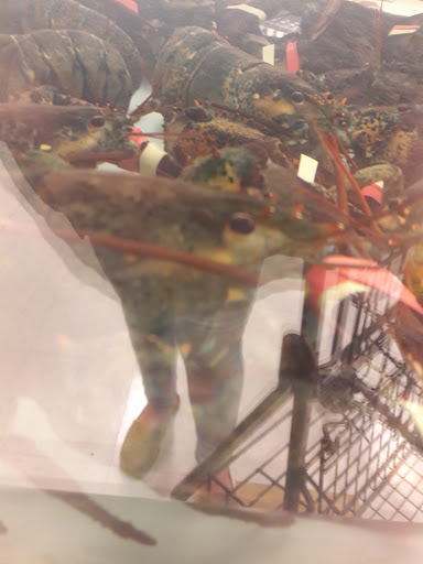 Grocery Store «Kroger», reviews and photos, 600 E Main St, Hebron, OH 43025, USA