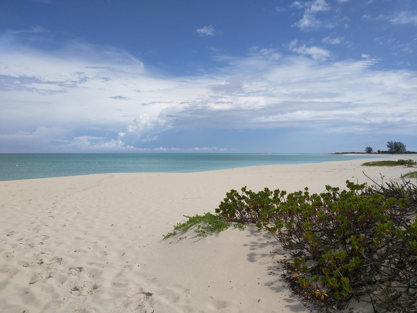 Photo of Pine Cay beach with long straight shore