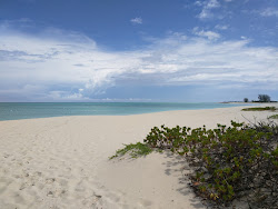 Pine Cay beach'in fotoğrafı biraz temiz temizlik seviyesi ile