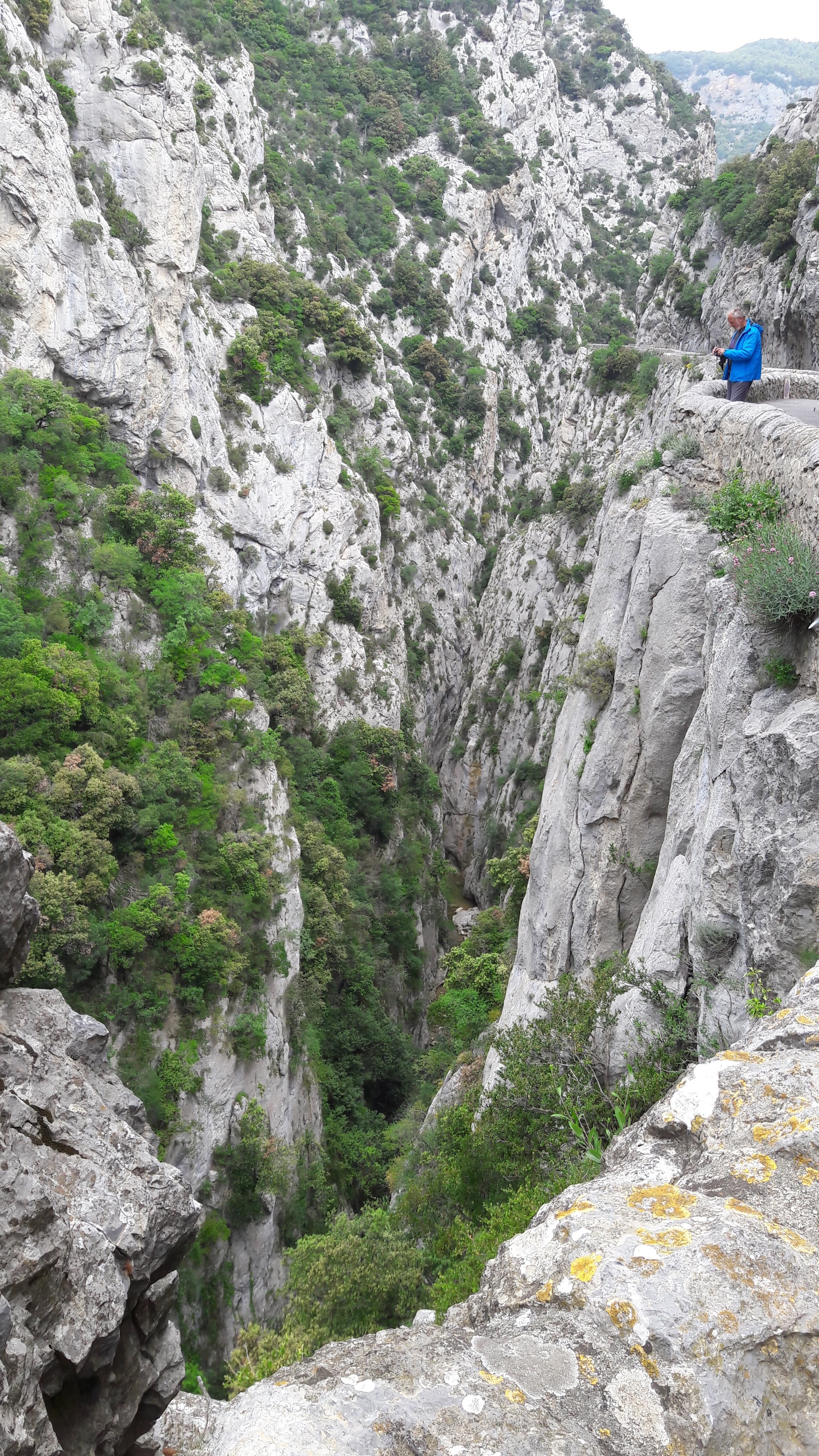 Photo n° 2 de l'avis de Michel.u fait le 28/05/2018 à 08:51