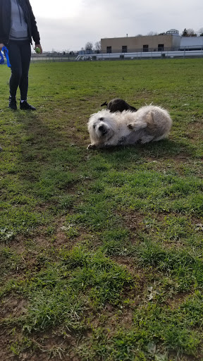 Park «Memorial Field Park», reviews and photos, 46 Lower Rd, Linden, NJ 07036, USA