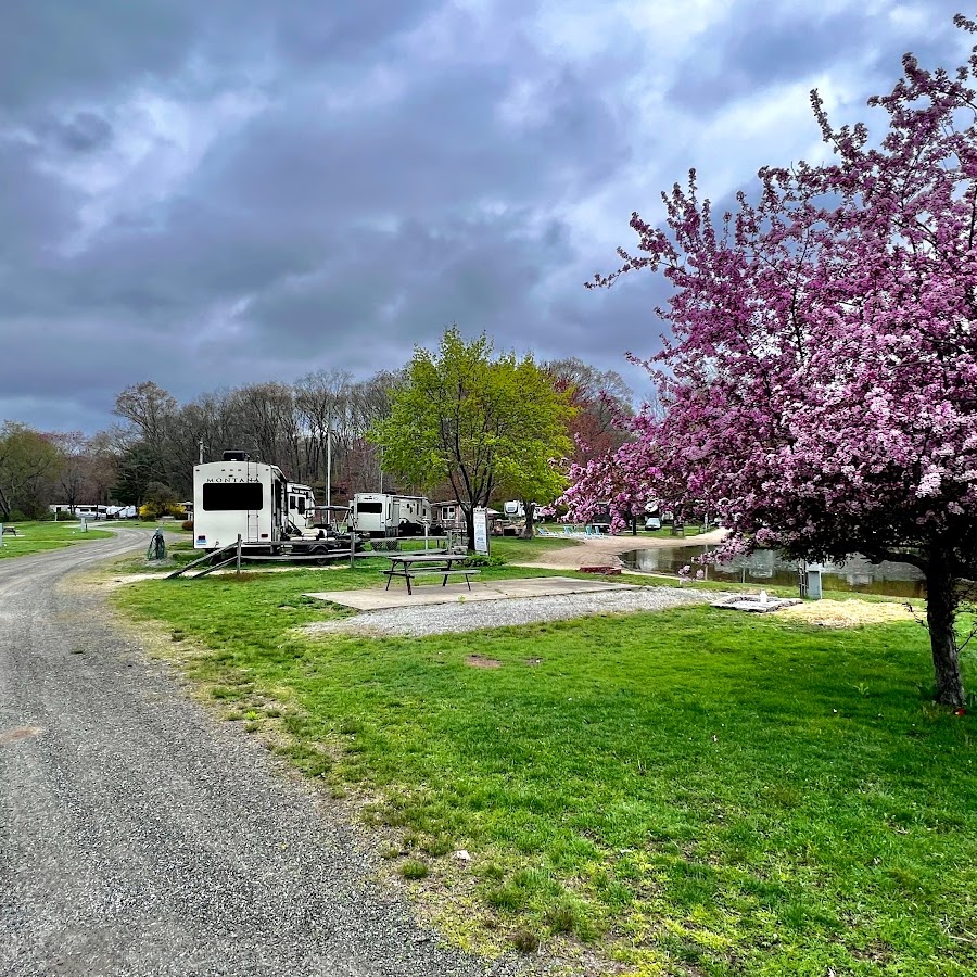 Riverdale Farm Campsite