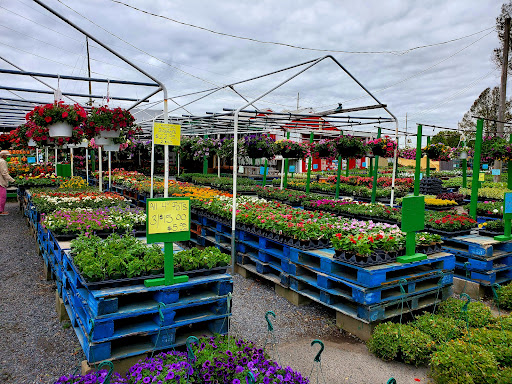 Produce Market «Puglias Produce», reviews and photos, 381 Fries Mill Rd, Sewell, NJ 08080, USA