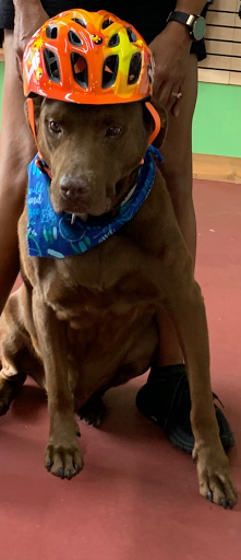 Bicycle Store «Twisted Spokes Bicycles», reviews and photos, 11730 Jones Bridge Rd f, Johns Creek, GA 30005, USA