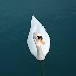 Photo n°2 de l'avis de tommaso.a fait le 29/12/2019 à 09:21 sur le  LOCANDA RIGHETTO à Quinto di Treviso