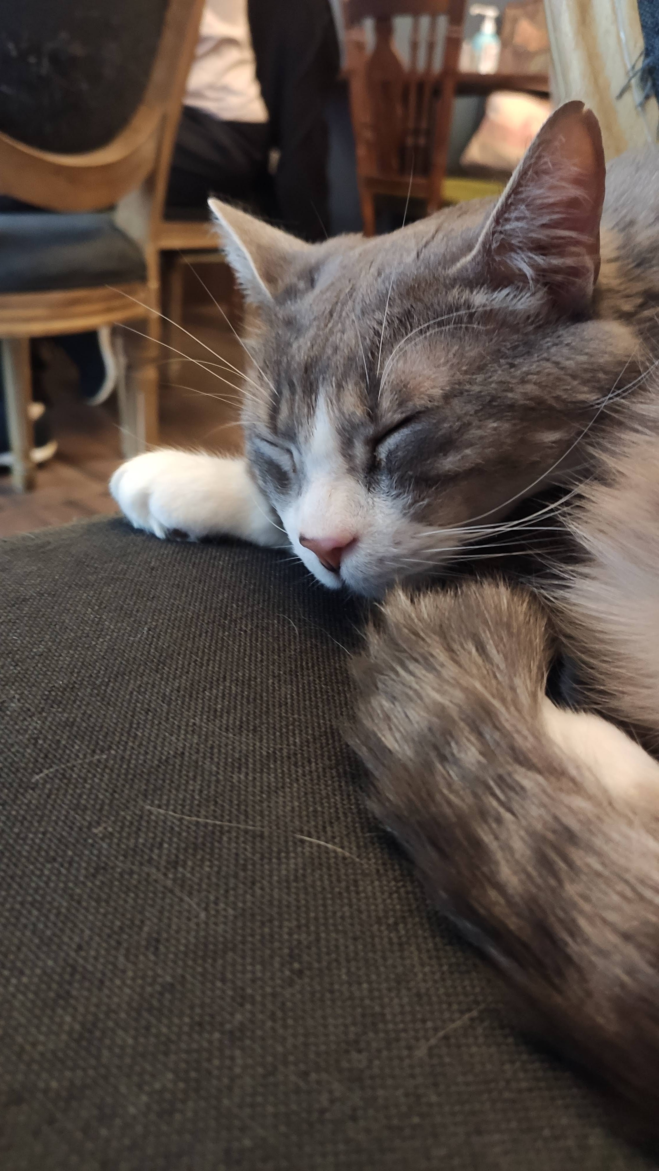 Photo n° 3 de l'avis de Stefy.a fait le 17/09/2021 à 18:43
