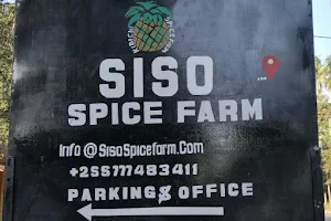 SISO SPICE FARM image