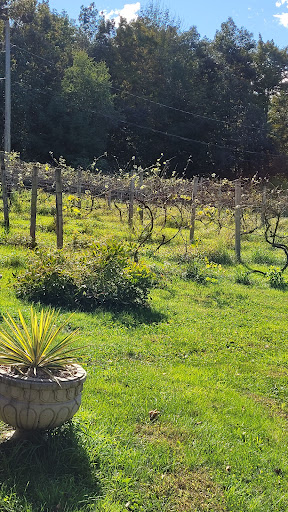 Winery «Bashakill Vineyards», reviews and photos, 1131 S Rd, Wurtsboro, NY 12790, USA