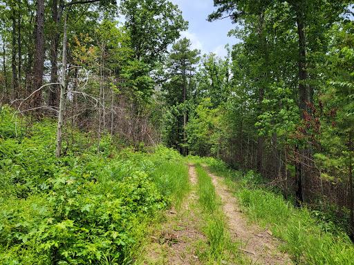 National Park «Kings Mountain National Military Park», reviews and photos, 2625 Park Rd, Blacksburg, SC 29702, USA
