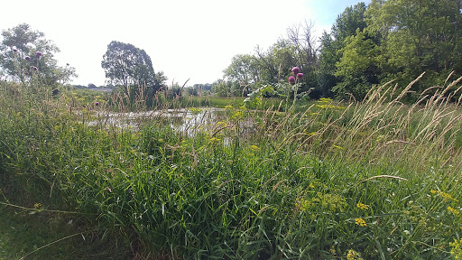 Nature Preserve «Elgin Shores Forest Preserve», reviews and photos, 772 S State St, Elgin, IL 60123, USA