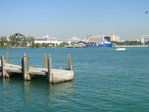 Performing Arts Theater «Bayfront Park Amphitheatre», reviews and photos, 301 Biscayne Blvd, Miami, FL 33132, USA
