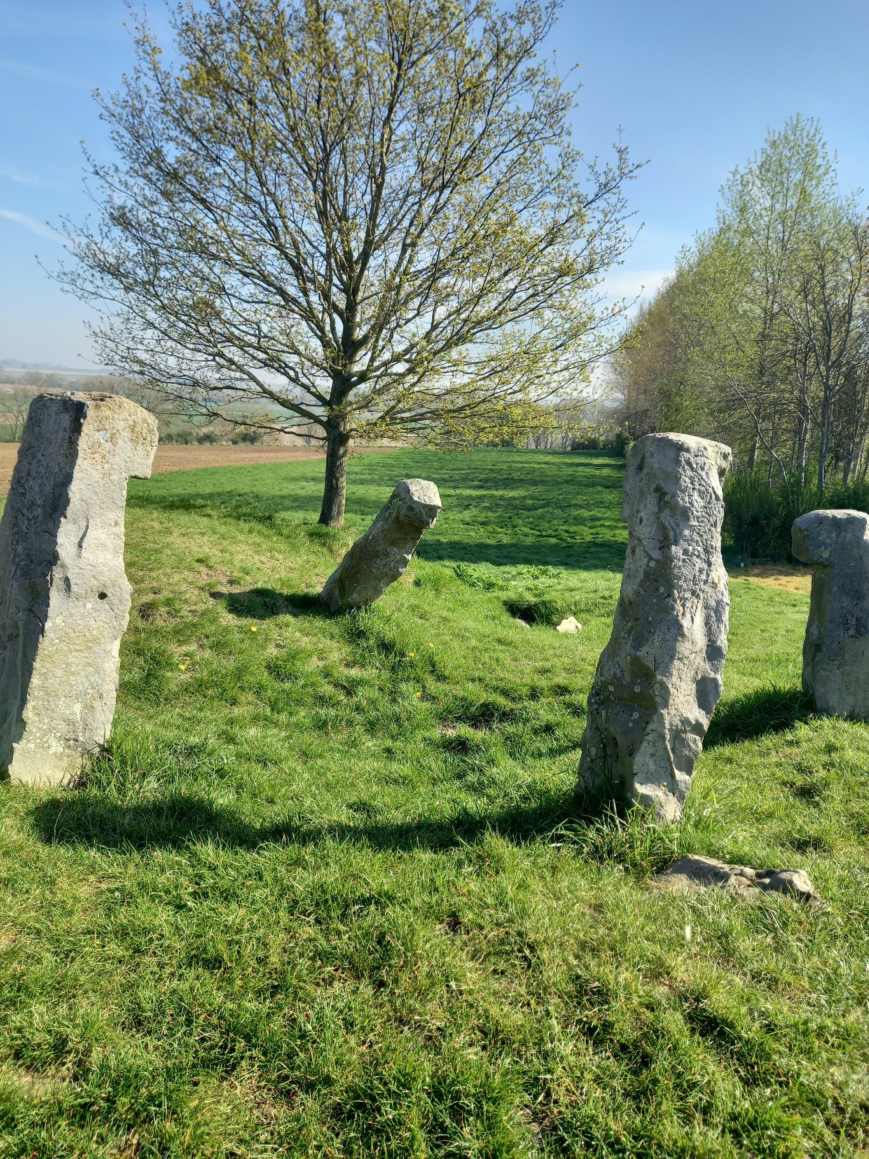 Photo n° 2 de l'avis de Didi.a fait le 22/04/2022 à 17:29