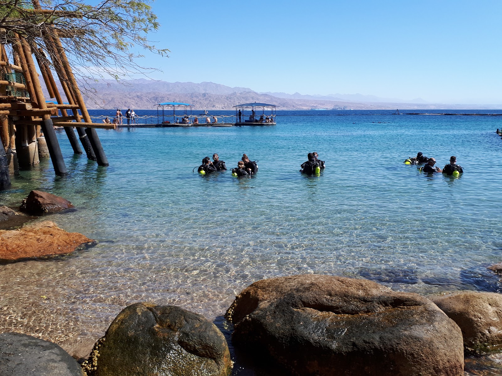 Fotografie cu Dolphin Reef Beach amplasat într-o zonă naturală