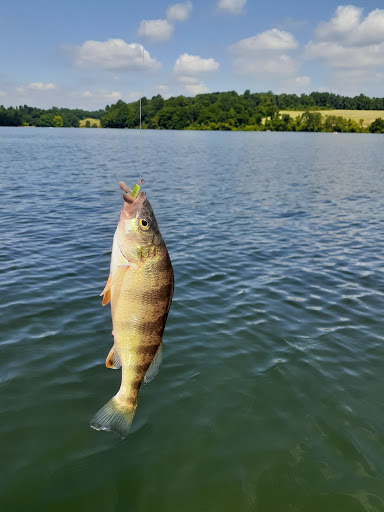 Water Sports Equipment Rental Service «Marsh Creek Water Sports», reviews and photos, 675 Park Rd, Downingtown, PA 19335, USA