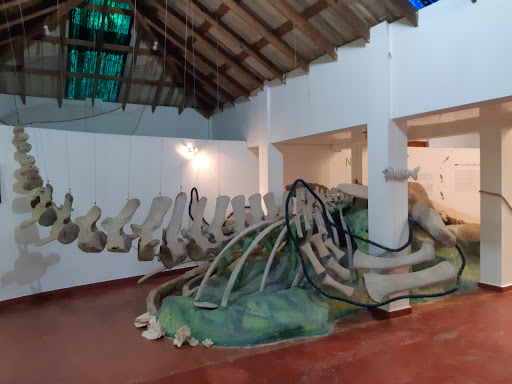 Museo de las Ballenas / Centro de la Naturaleza