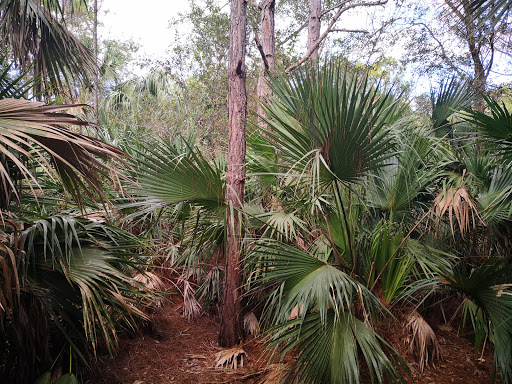 Park «Sabal Pines Park», reviews and photos, 5005 NW 39th Ave, Coconut Creek, FL 33073, USA
