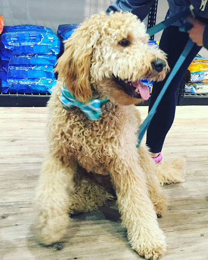 Pet Store «Whisker Bones Supply Co.», reviews and photos, 138 N Main St, Edwardsville, IL 62025, USA