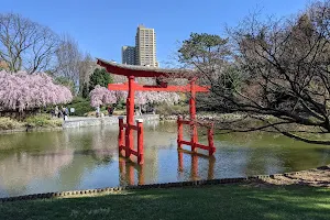 Japanese Hill-and-Pond Garden image