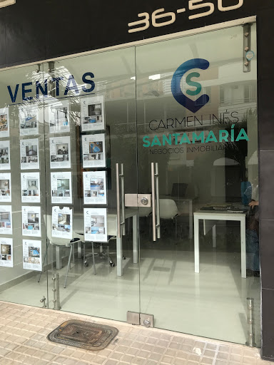 Carmen Inés Santamaría - Negocios Inmobiliarios en Bucaramanga 