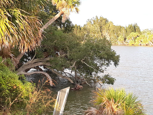 Nature Preserve «Scottsmoor Flatwoods Sanctuary East», reviews and photos, 6000 Magoon Ave, Mims, FL 32754, USA